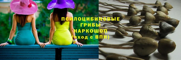 таблы Кодинск
