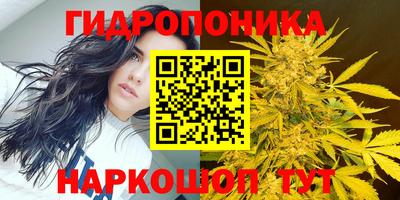 прущие крисы Среднеуральск