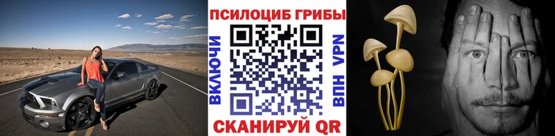 купить  цена  Тихвин  маркетплейс формула  Галлюциногенные грибы ЛСД 