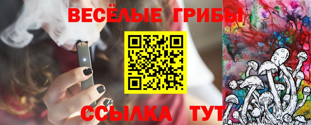 Псилоцибиновые грибы GOLDEN TEACHER  Вход с VPN  Тихвин 