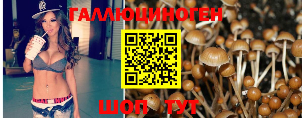 Псилоцибиновые грибы мицелий Тихвин