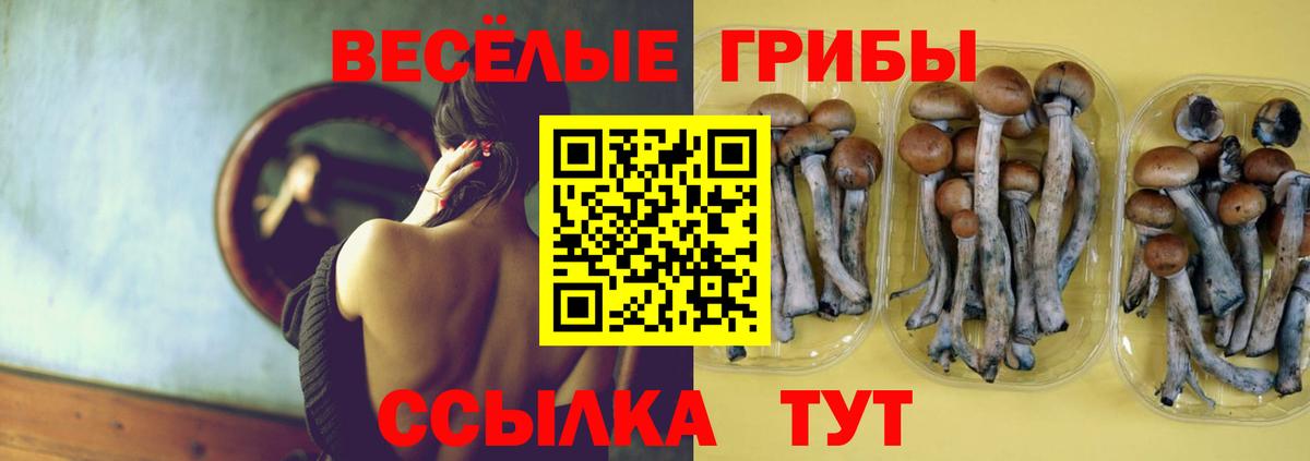 Галлюциногенные грибы ЛСД Тихвин