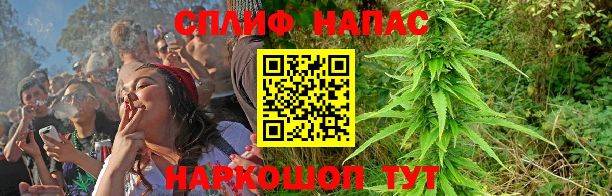 Бошки Шишки SATIVA & INDICA  Бошки марихуана семена  Вход с VPN  Бошки марихуана AK-47  МАРИХУАНА план  Тихвин 